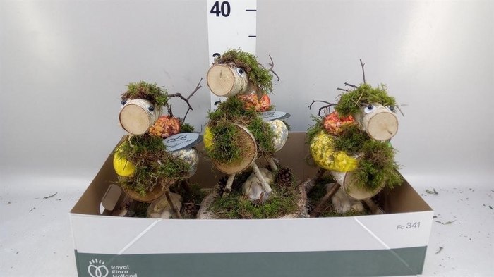 <h4>Decoratie  ..Vogelzaadfiguur  H%</h4>