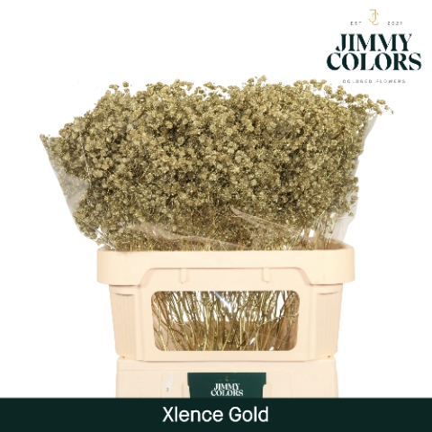 <h4>Gyps Xlence L80 Mtlc. Gold</h4>