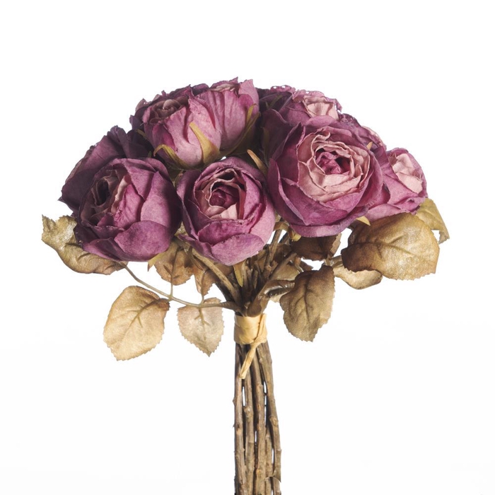 <h4>AF Rosa Dried Bnd x10 L27cm Pu</h4>