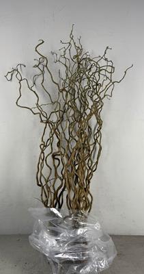 <h4>Corylus (1-jarig)</h4>