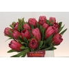 Protea Red Ice