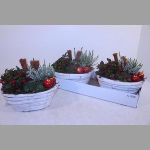 ARR TUINPLANTEN
