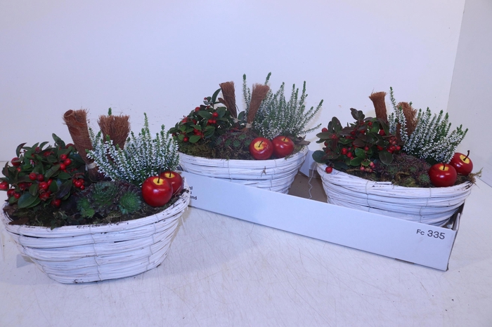 <h4>ARR TUINPLANTEN</h4>