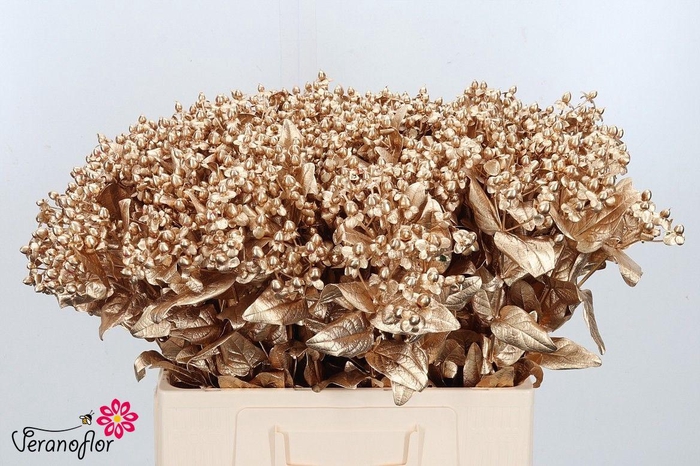 <h4>HYP OV KLB H%</h4>