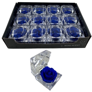 R Diamond Rosa Blue