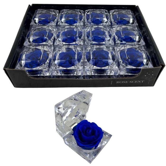 <h4>R Diamond Rosa Blue</h4>