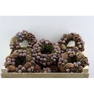 Wr Autumn Nature 20cm