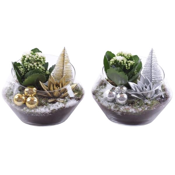 <h4>Christmas Arr. Indoor Glass Oblique UFO Vase Ø20cm 2PP</h4>