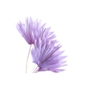 Palm Sun Lilac