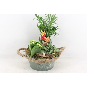 arr2 TD - Zink rond d.green 250/2 - wit