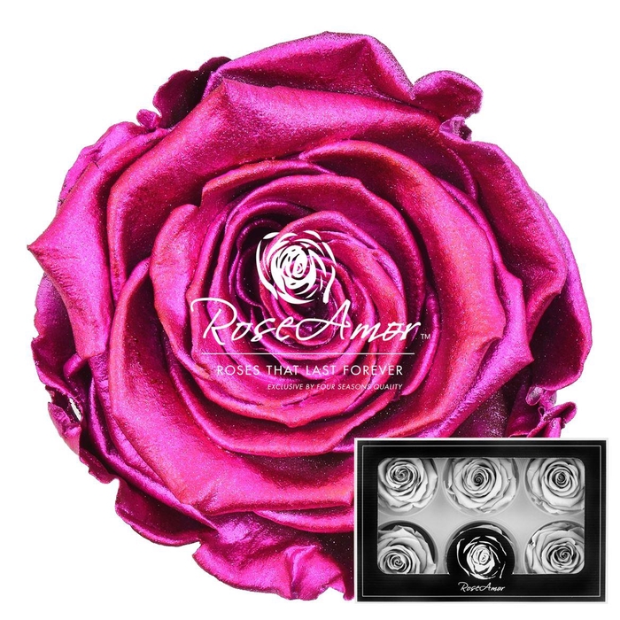 <h4>Lplus Metallic Pink</h4>