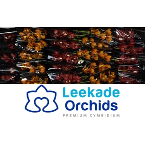CYMB MI Herfstmix Leekade X30 20% extra packed