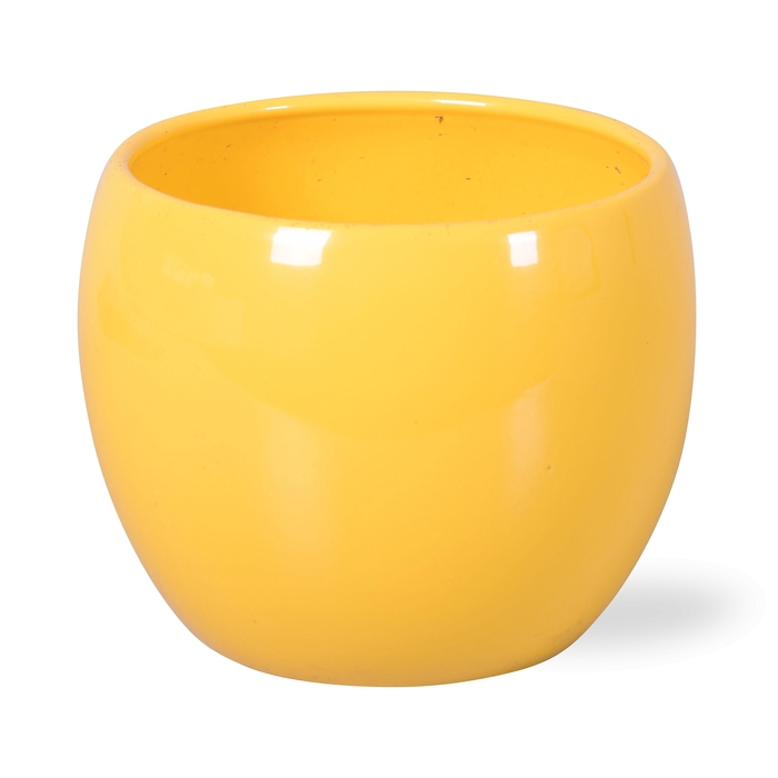 <h4>Keramiek Lisa Geel</h4>