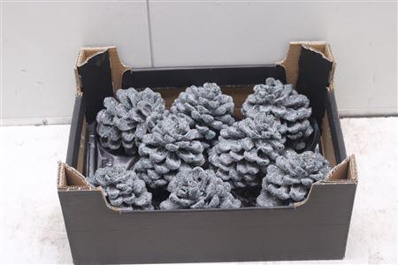 <h4>F-pinea Glitters Dennegroen</h4>