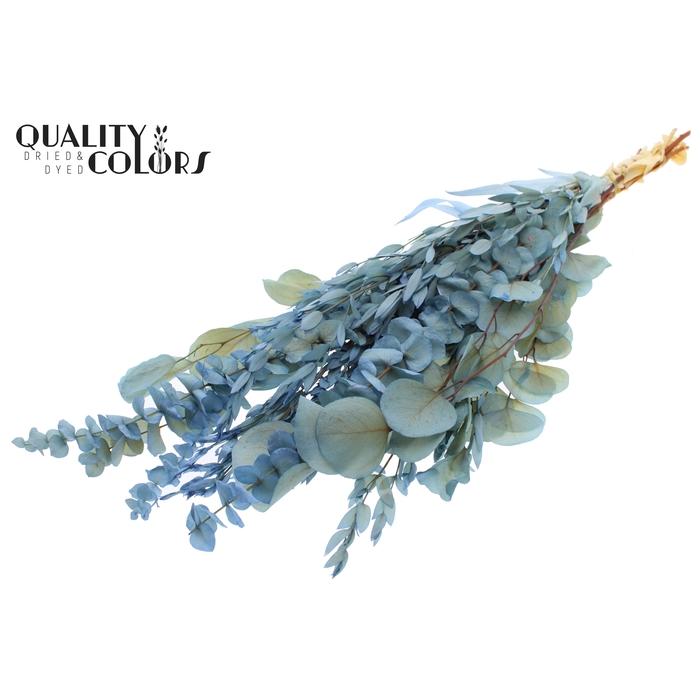<h4>Eucalyptus Mix Preserved Bleached Light Blue</h4>