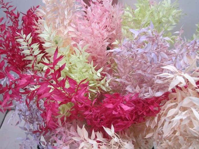 <h4>RUSCUS A GEBLEEKT MIX</h4>