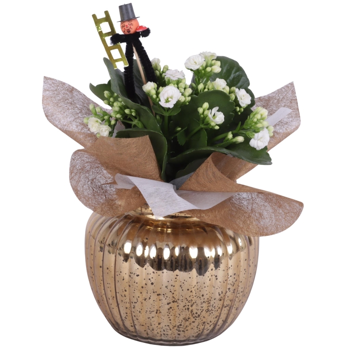 <h4>New Year Arr. Indoor Glass Round Relief Gold Ø15cm 1PP</h4>