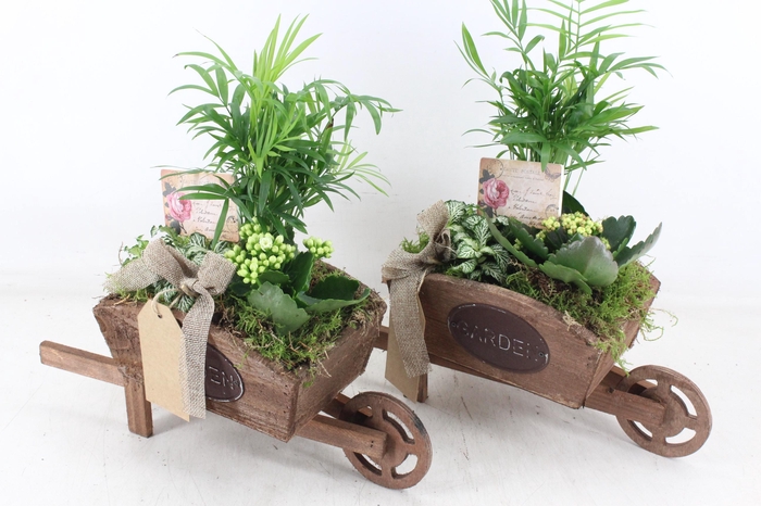 arr2 TD - Houten kruiwagen - roze/wit