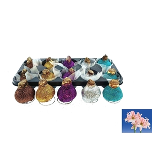 BLOEMBOL HIPPEASTRUM