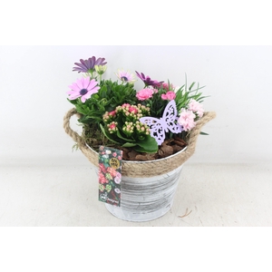 arr4 Outdoor MB - Zink emmer white wash