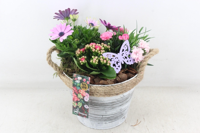 <h4>arr4 Outdoor MB - Zink emmer white wash</h4>