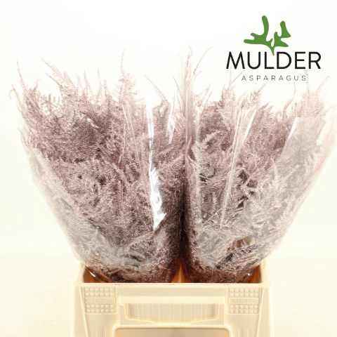 <h4>Snijgroen RoseGold 1e Veren</h4>