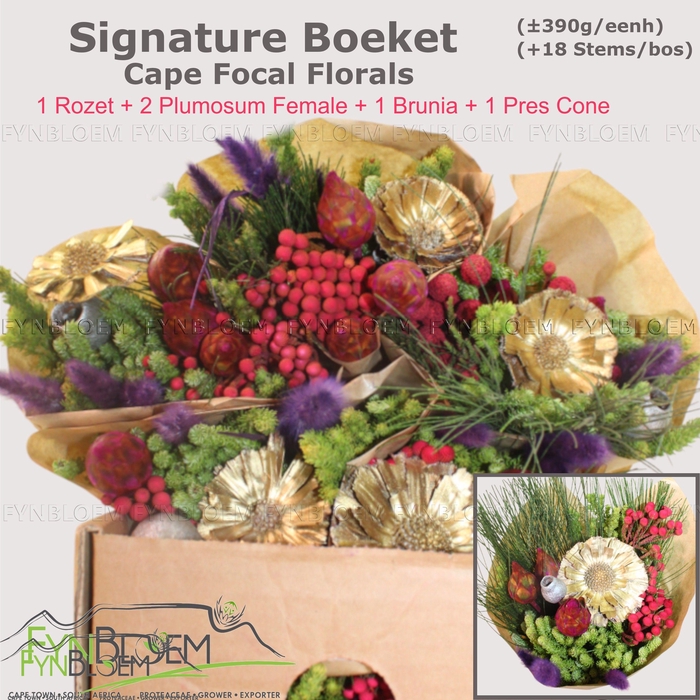 <h4>KAAPS GROE GEM IN BS</h4>