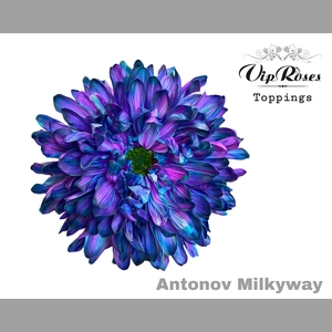 CHR G ANTONOV MILKY WAY