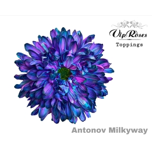 Vip. Chr G Antonov Milky Way