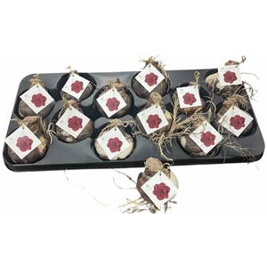 BLOEMBOL HIPPEASTRUM