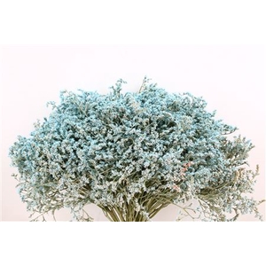 Dried Statice Tatarica Pkg L Blue 4kg Box