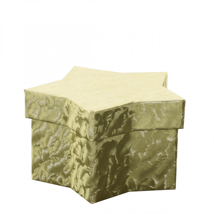 <h4>Kerst Hatbox Evelyn 16*10.5*9cm</h4>