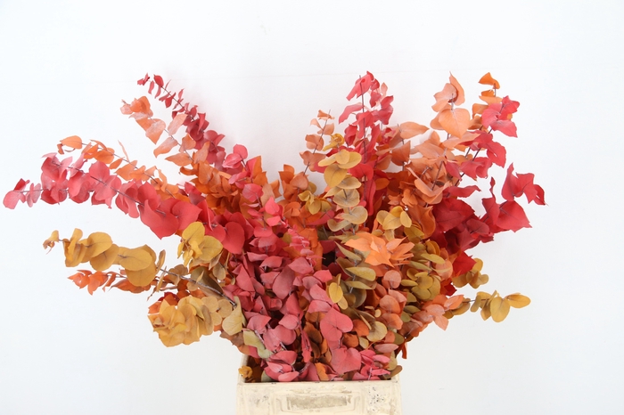 <h4>DROOGBL BEWERKT H%</h4>