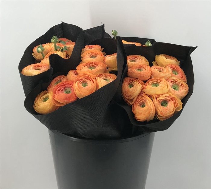 <h4>Ran Suc Honey Sup</h4>