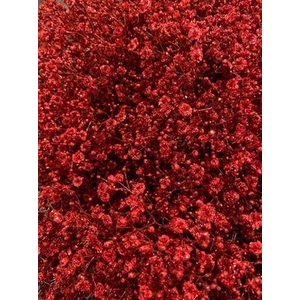 GYPS TINTED RED