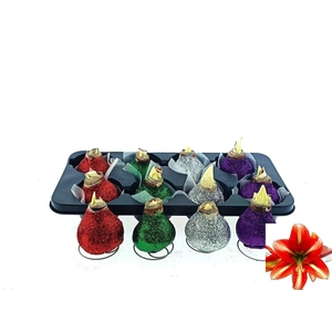 BLOEMBOL HIPPEASTRUM