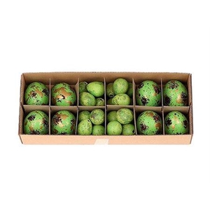 Egg Combi 8 Chicken 24 Quail Green