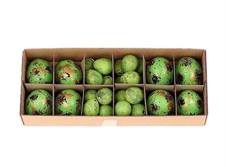 <h4>Egg Combi 8 Chicken 24 Quail L28w11h7</h4>