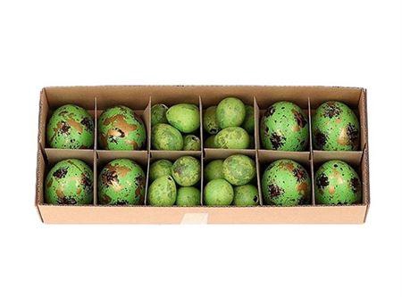 <h4>Egg Combi 8 Chicken 24 Quail Green</h4>