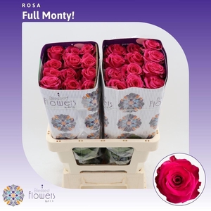 R GR FULL MONTY!