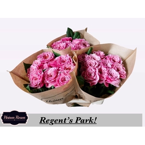 R GR REGENTS PARK!