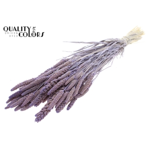 Gierst per bunch Bleached Frosted Milka