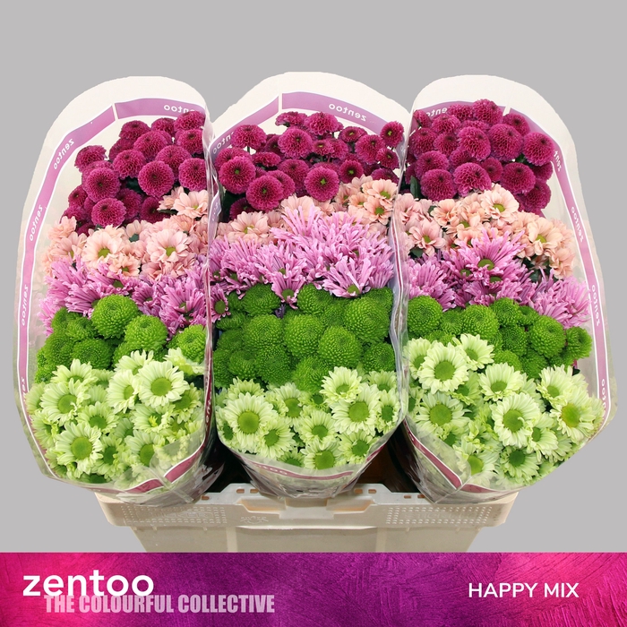 <h4>CHR S MIX HAPPY</h4>