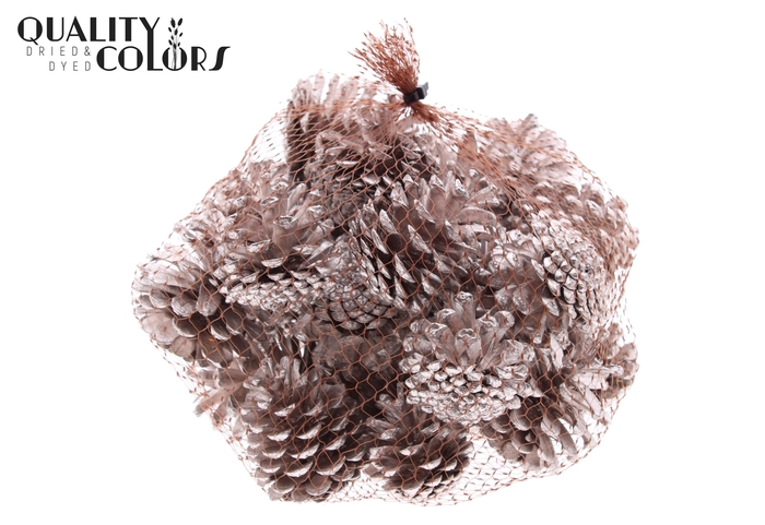 Pine cone 500gr in net Champagne