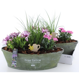 ARR TUINPLANTEN