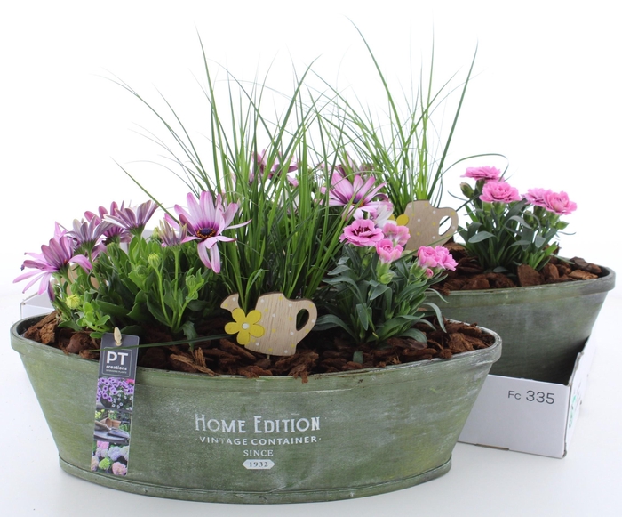 <h4>ARR TUINPLANTEN</h4>