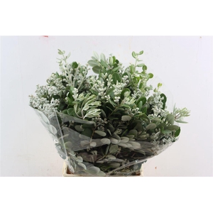 Pittosp Ralphi Berry P Bunch