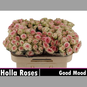 R TR GOOD MOOD