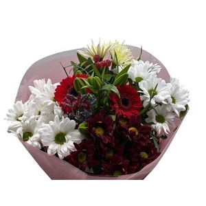 BQ 159 VAL SUPER RED