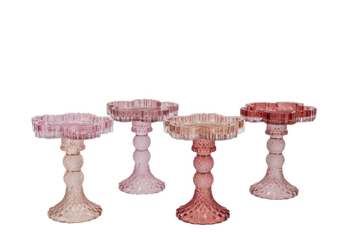 <h4>Bicolore Old Pink T-light Bloom Milky Ass 12x15cm</h4>